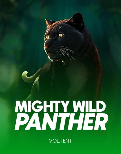 Mighty Wild Panther